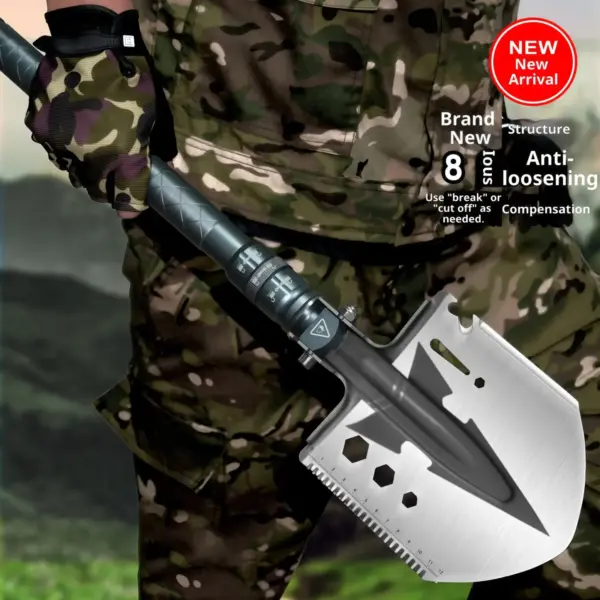 Dsc 7174 副本.webp