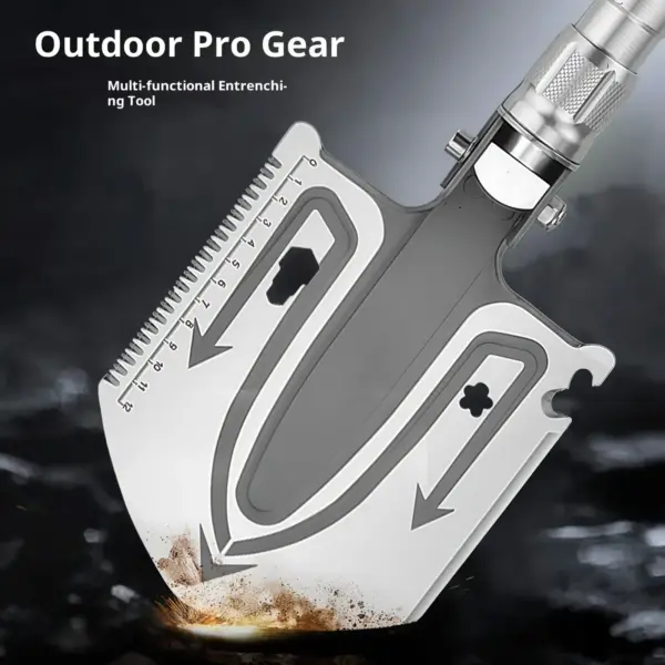 Dsc 71899 副本.webp