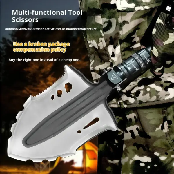 Dsc 7190 副本.webp