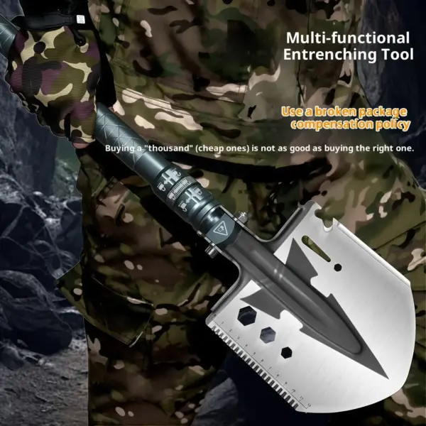 Dsc 7560 副本.webp