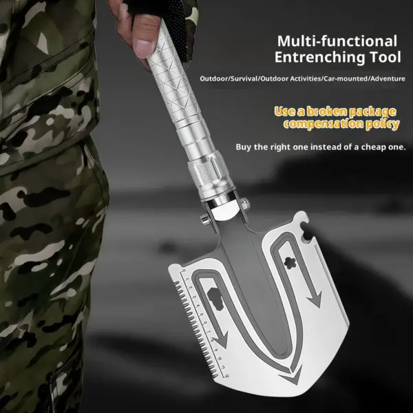 Dsc 8600 副本.webp