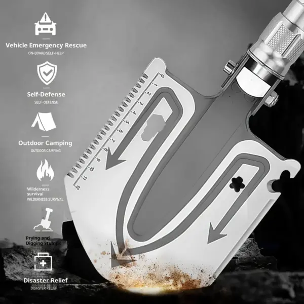 Dsc 9000 副本.webp